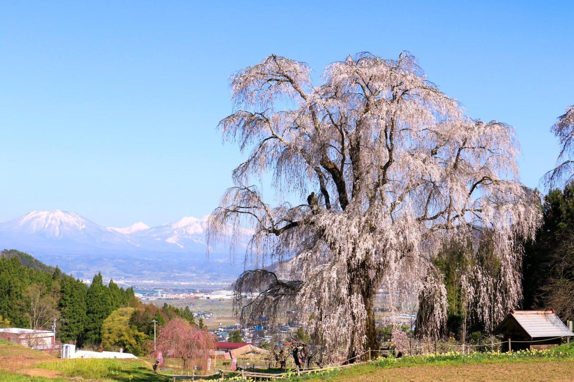 Fujiiso (Adults Only) Otel Takayama  Dış mekan fotoğraf